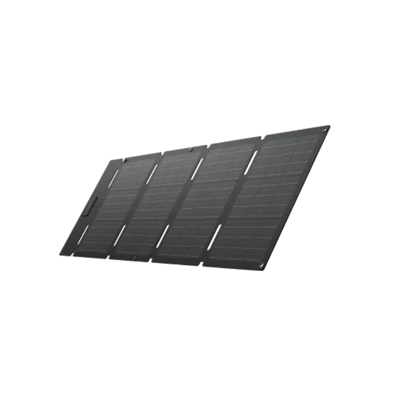 EcoFlow 60W Portable Solar Panel