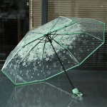 Sakura Printed 21-inch 8-rib Transparent Umbrella