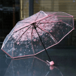 Sakura Printed 21-inch 8-rib Transparent Umbrella