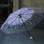 Sakura Printed 21-inch 8-rib Transparent Umbrella