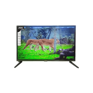 Smart SEL-24L22KS 24-inch HD Basic LED TV