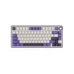 Royal Kludge RK R75 RGB Hot-Swappable Mechanical Keyboard